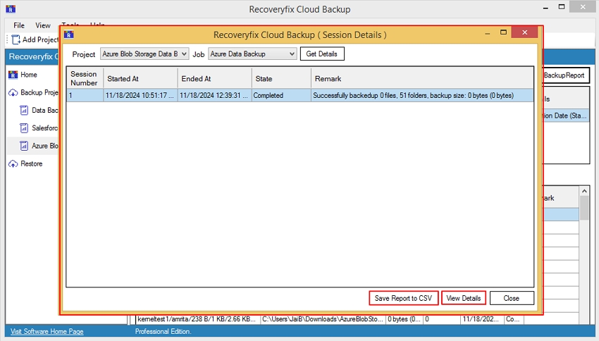 Generate a detailed files report